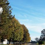 Vhm Eclairage - Noyon - Ensemble mât contemporain Féroé, bouquet contemporain élara, luminaire Bhoot