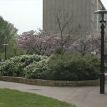 Vhm Eclairage - Le Plessis Robinson - Ensemble mât contemporain Timor, luminaire contemporain Austral